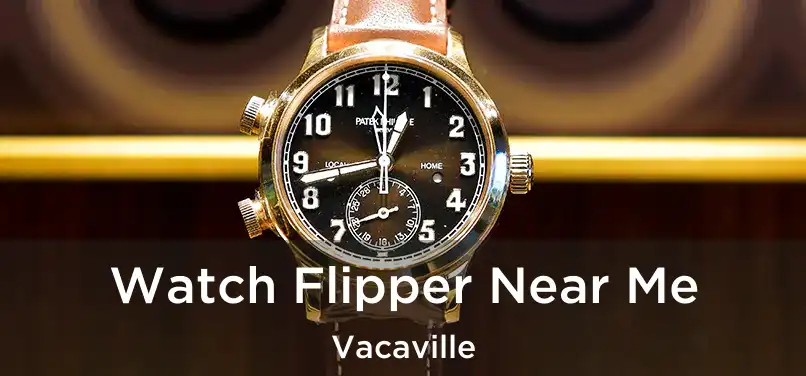  Watch Flipper Near Me Vacaville